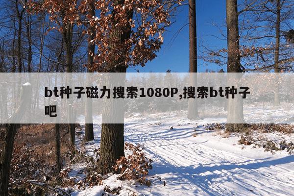 磁力帝最新版官网地址,磁力吧的搜索引擎最佳