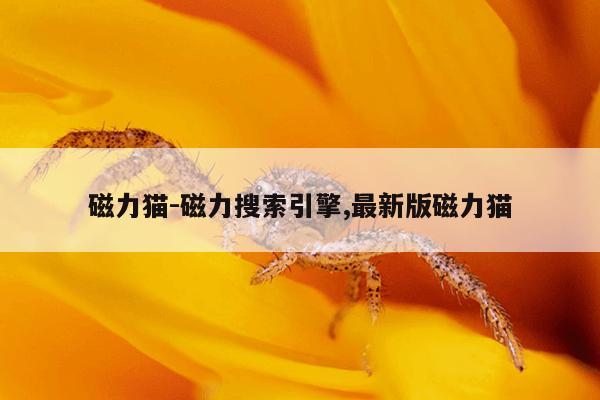 天堂bt种子搜索神器下载,天堂bt种子搜索神器下载