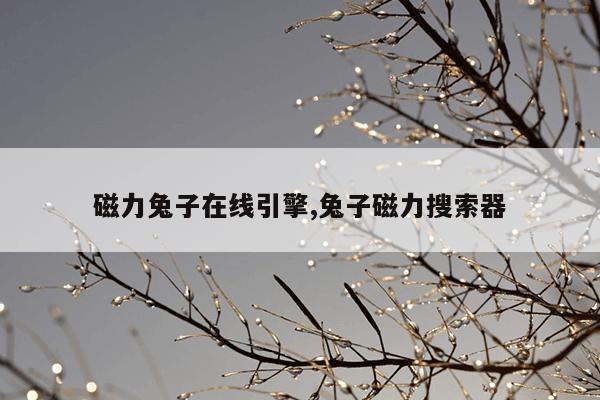 磁力棒儿童益智玩具6岁,小孩玩的磁力棒