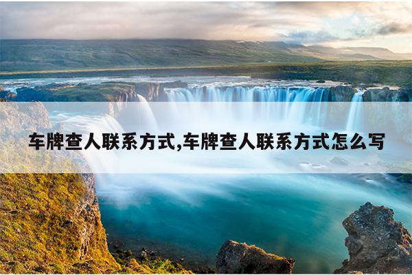 蜘蛛磁力官网,最佳高效蜘蛛搜索引擎磁力