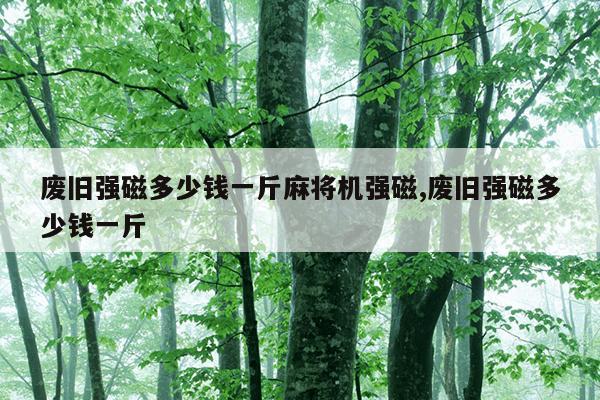 东城磁力钻说明书,磁力钻怎么维修