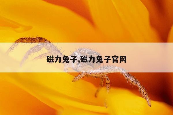 磁力魔方什么品牌好,磁力魔方什么品牌好用