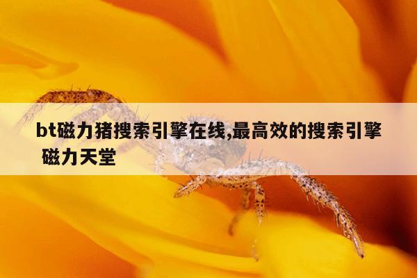 搜索猫粮推荐,猫粮推荐性价比高