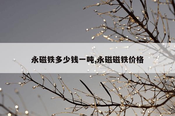 磁力搜索引擎在线,天堂磁力搜索引擎在线