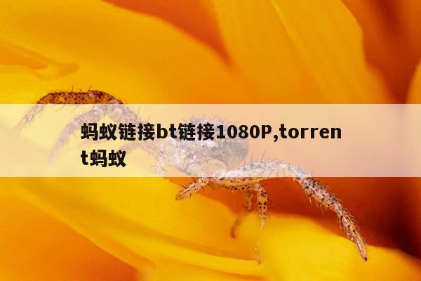 种子资源地址JOJO,种子资源地址