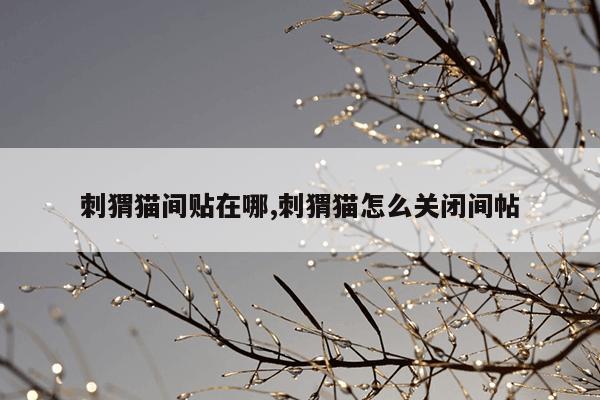 蚂蚁链接bt链接1080P,torrent蚂蚁