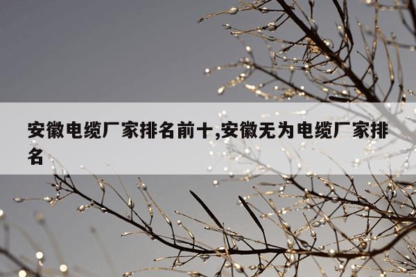 cilimao磁力狗最新版地址在线,磁力狗高效