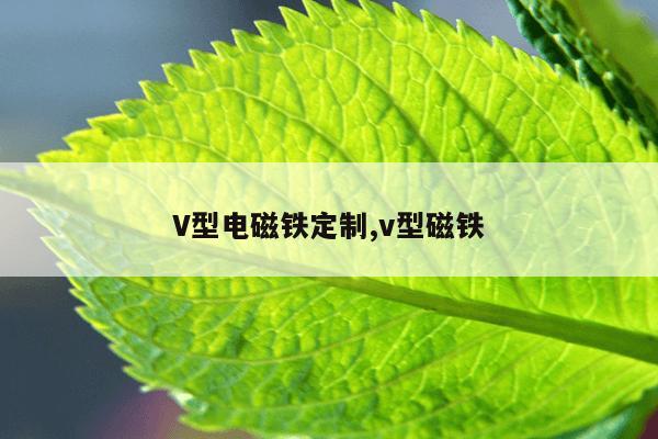 种子引擎搜索1080P下载,搜索种子引擎排名