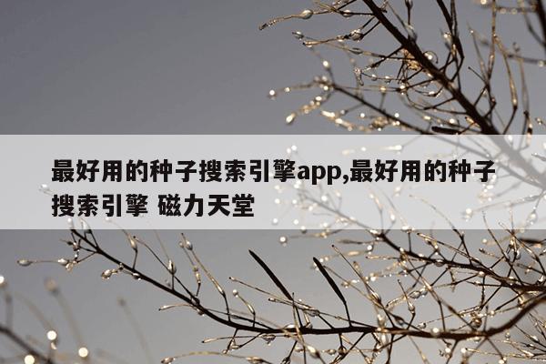 V型电磁铁定制,v型磁铁
