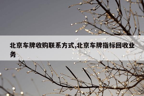 torrentkitty磁力官网tw,torrentkittytorrent