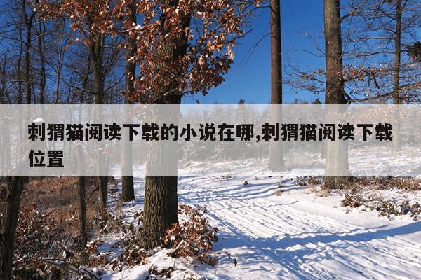 废旧光盘手工制作大全和方法,废旧光盘小制作大全简单