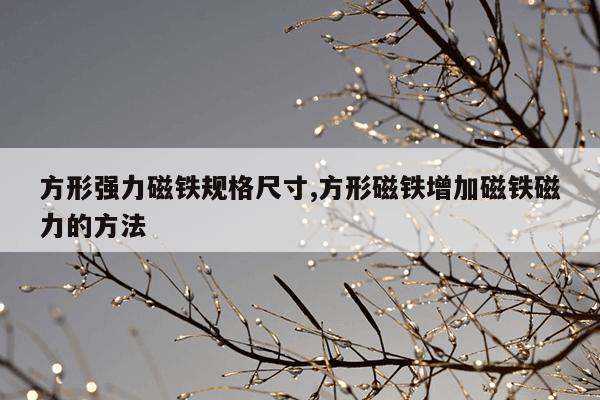 刺猬猫阅读下载的小说在哪,刺猬猫阅读下载位置