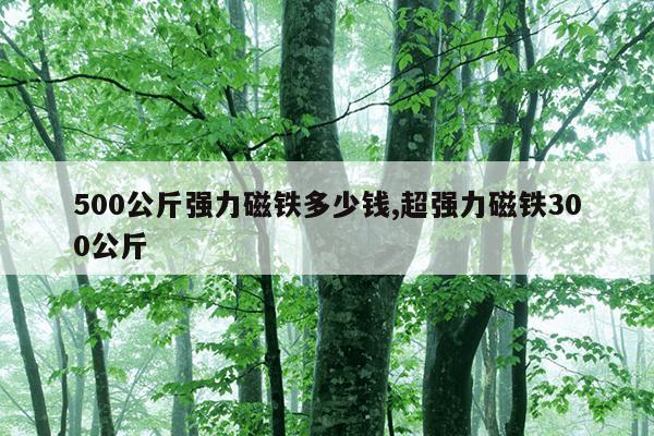 磁力棒拼飞机,磁力片拼搭飞机