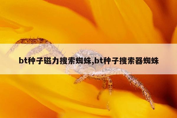 电脑复制链接提取视频的软件,电脑复制链接提取视频的软件叫什么