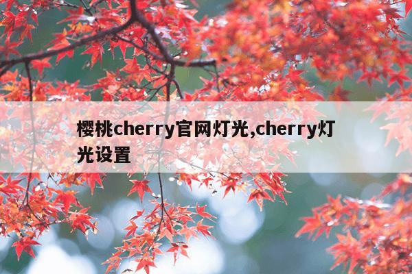 蜘蛛磁力链引擎搜索,最佳高效蜘蛛搜索引擎磁力