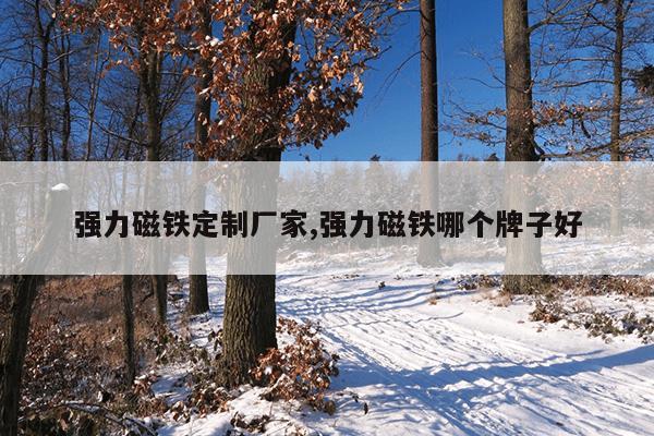 强磁吸铁器价格在哪里打捞合适,强磁吸铁器组装的方法