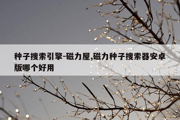 强磁吸盘对手机有影响吗,强磁吸手机会坏吗