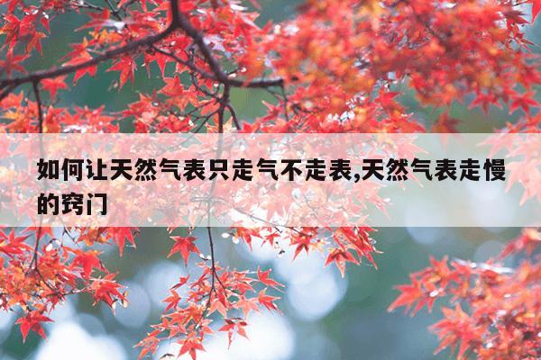 种子搜索引擎-磁力屋,磁力种子搜索器安卓版哪个好用