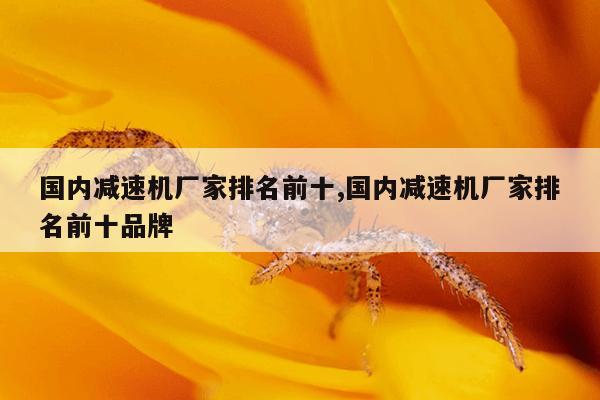 宁德磁力泵厂家直销,磁力泵报价