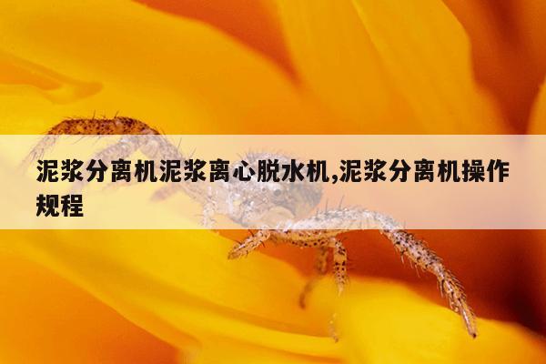 磁力搜索-磁力天堂,最佳高效的磁力搜索引擎吧