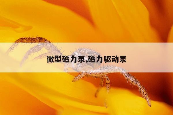 链接搜索引擎蚂蚁,好用的链接搜索引擎