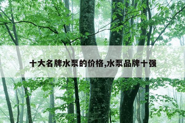 微型磁力泵,磁力驱动泵