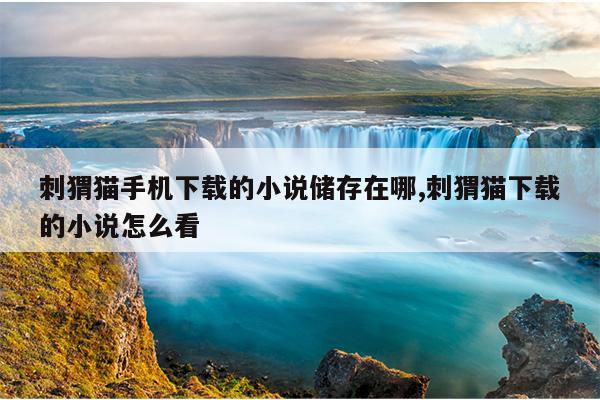 磁力蜘蛛种子搜索,最好磁力蜘蛛