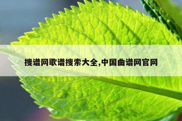 刺猬猫手机下载的小说储存在哪,刺猬猫下载的小说怎么看