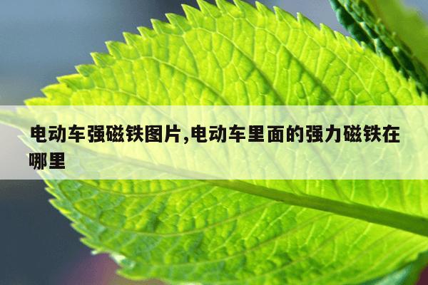 空气开关规格型号参数,空气开关规格型号参数c63