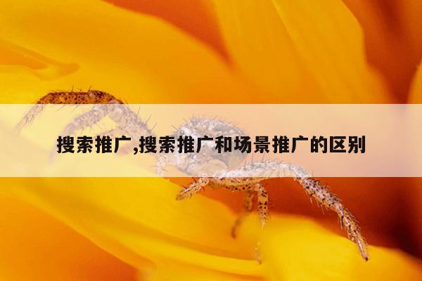 强磁吸铁器价格多少钱,强磁吸铁器价格及电话