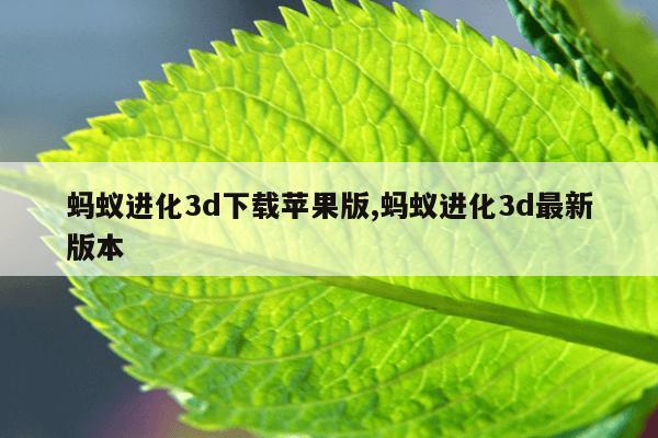 蚂蚁BT在线搜索引擎,蚂蚁搜索 rmvb 下载