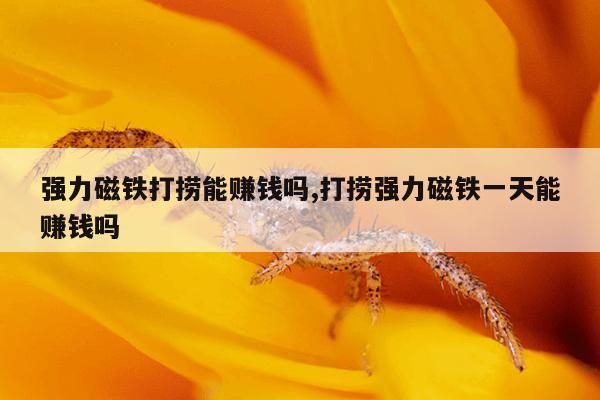 车牌磁铁贴牌哪里有卖,车牌号码磁铁片哪里买