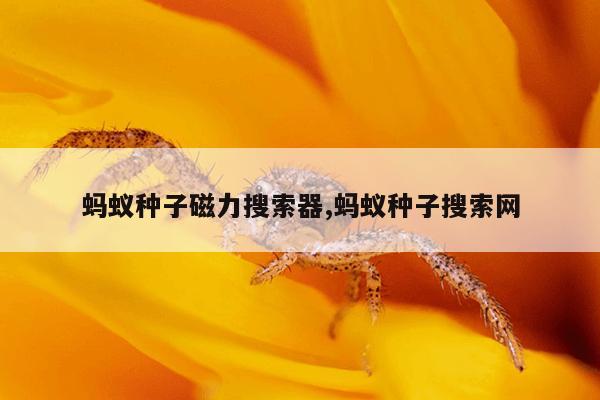 塑料磁力泵泵头,磁力泵泵头结构图