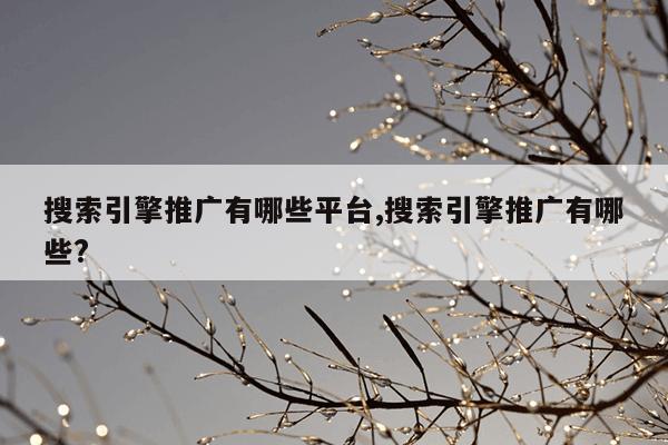 种子搜索神器torrentkittyapk,种子搜索神器在线引擎