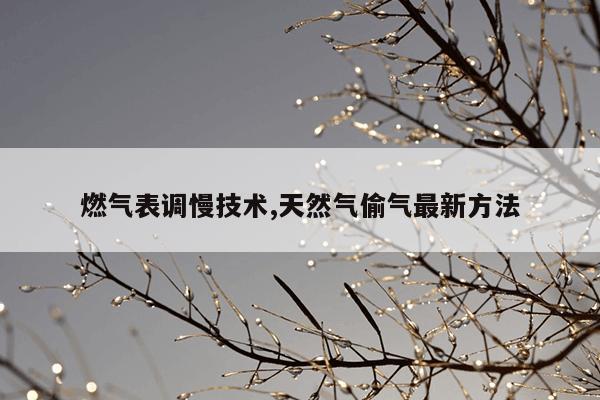 智能燃气表偷气方法大全图牙签,ic卡式燃气表偷气神器