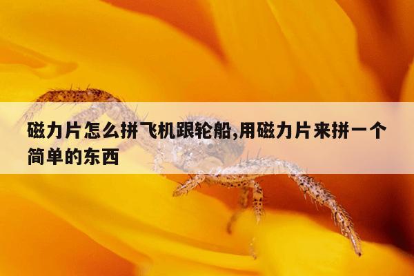 蚂蚁bt搜索器磁力,蚂蚁搜索bt 下载