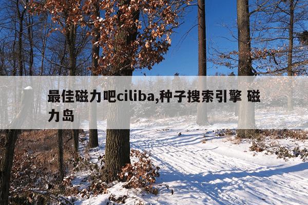 圆形磁铁多少钱一块?,圆形磁铁哪里有卖