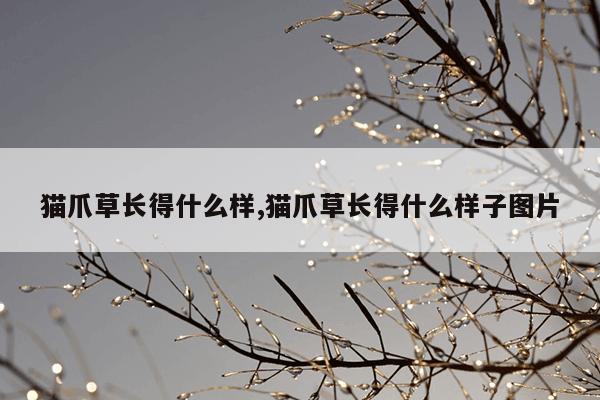 强力磁铁价格一吨,50公斤强磁铁一块价格
