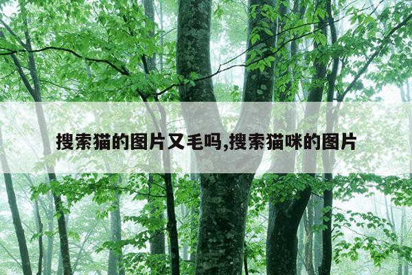 蚂蚁进化3d下载,免广告版,蚂蚁进化3d无广告