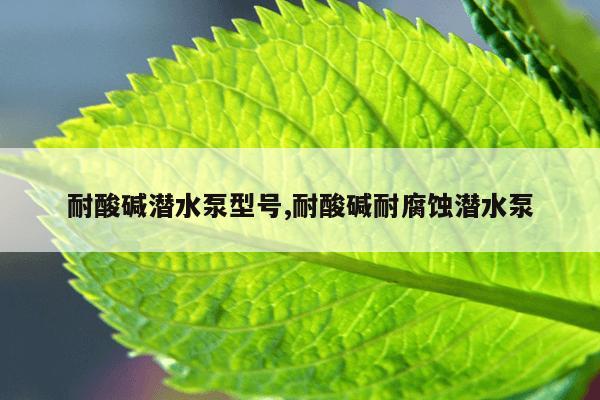 刺猬猫作者收入怎么算,刺猬猫写书收入