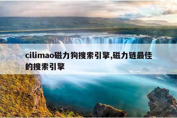 磁力泵的工作原理及注意事项,磁力泵运行原理