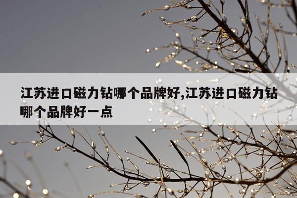 在线资源种子搜索神器,在线搜索种子下载