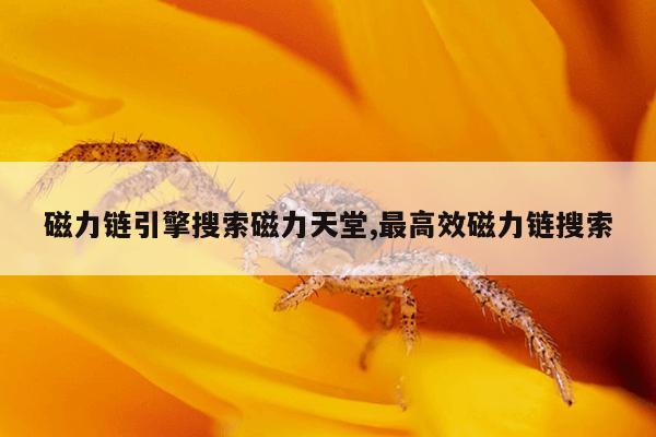 江苏进口磁力钻哪个品牌好,江苏进口磁力钻哪个品牌好一点