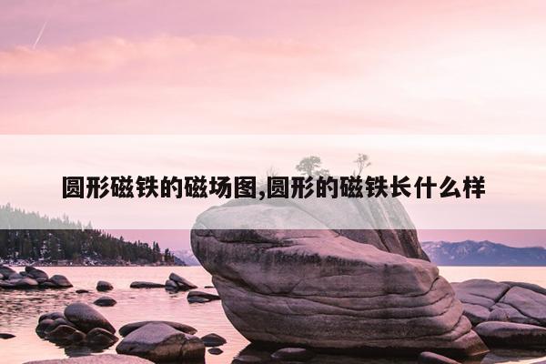 温州磁力泵介绍,温州磁力信息技术有限公司
