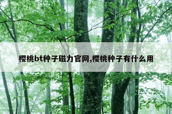 磁力钻孔机品牌,磁力钻孔机品牌排行榜