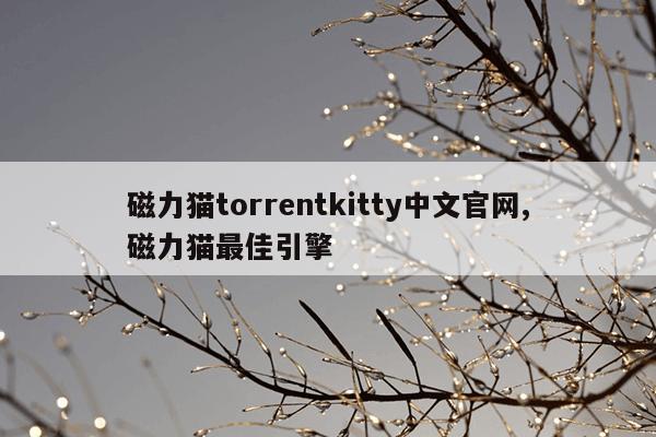 链接搜索器磁力猫,搜索磁力猫引擎