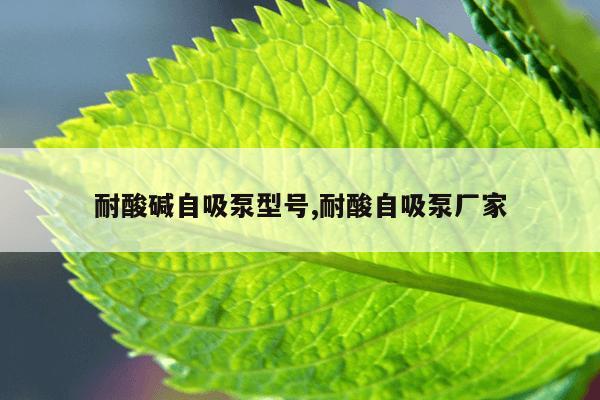 搜索引擎推广的基本方法有新闻发布及网络广告,搜索引擎推广的主要方法