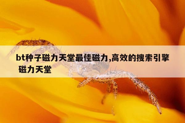 搜索引擎工具有哪些,搜索引擎工具有哪些功能