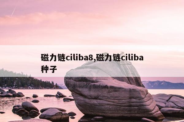 最高效磁力引擎磁力天堂,磁力高效搜索