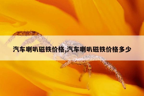 磁力泵图片,磁力泵结构图